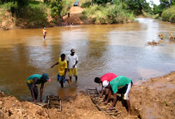 Bongolava, Belobaka, Ankavandra, Manambolo, Madagascar - fijoroana vavolombelona - AFF - Tafika Masina - FJKM Ankadifotsy - Ravo.Madagascar, Ratsimbazafy Ravo Nomenjanahary