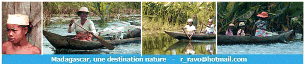 In the South of The Pangalanes Canal
Madagascar, an enchanting island, an authentic country
which will please you for its diversity and for its welcoming people
KW 2009's pictures © Travel and Trip, The East of Madagascar, Photos KW © a website of Ravo.Madagascar, webmaster of Christian thought