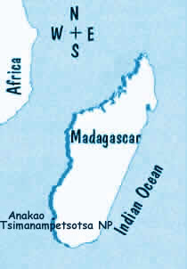 Trip to Madagascar, a customized itinerary for a trip in Madagascar, adventurous and adventure trip in Madagascar to its deep south part : Anakao and Tsimanampetsotsa National Park