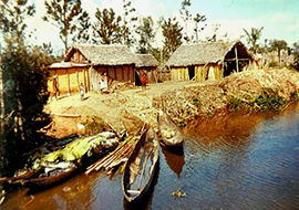 ToursByLocals is a Tour Operator
in Vancouver, British Columbia, Canada
I am a Malagasy Tour Guide of this company since 2012 Travel and Trip at the East part of Madagascar, through the Pangalanes Canal