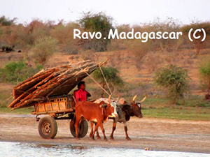 Voyage à Madagascar, à la découverte du Sud Malagasy