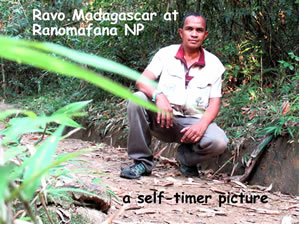 Pour les passionés d Oiseaux, en version anglaise : Birdwatching Tour in Madagascar - Ravo.Madagascar 2019 © Ratsimbazafy Ravo Nomenjanahary alias Ravo.Madagascar, webmaster de Pensee Chretienne