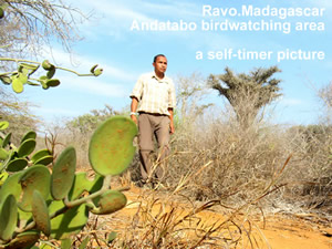 Madagascar sub-desert area, here is the South-West part of Madagascar : Andatabo-Toliara, a birdwatching area - Christian Thought - webmaster Ravo.Madagascar, Ratsimbazafy Ravo Nomenjanahary