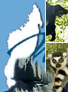 Madagascar, les fameux Tsingy - Pensee Chretienne, webmaster Ravo.Madagascar