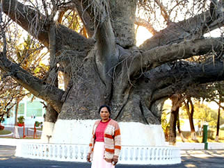 Madagascar, Mahajanga, Majunga, Baobab et Cirque Rouge