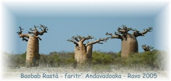 Raha hody izahay Jesôsy ô !
Sambatra, tretrika ao Aminao.
Ho hitanay ny Ray Jesôsy ô !
Ampy izay, soa tokoa, ao Aminao
( Tononkiram-pivavahana Malagasy -
Pensée Chrétienne ) Baobab de Madagascar, photo Ravo.Madagascar 2005 © - Lyriques Evangeliques Malagasy, un site de Pensee Chretienne, webmaster Ravo Nomenjanahary Ratsimbazafy