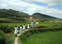 Vente de Photos en ligne, des Photos de Madagascar, un mariage a travers les rizieres, Ravo.Madagascar photo 2006