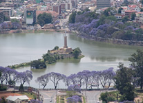 Vente de Photos en ligne, des Photos de Madagascar, au centre d Antananarivo, le lac Anosy entouré de jacarandas, Ravo.Madagascar photo 2004