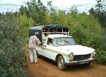 Selling online Photos of Madagascar, an old 404 Peugeot in Antananarivo area, Ravo.Madagascar 2006 picture