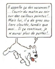 Hergé les aventures de Tintin et MILOU - Tintin au Tibet