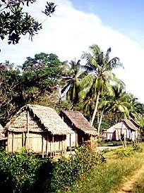 trip in Madagascar, the Pangalanes Canal, Betsimisaraka village - Ravo.Madagascar