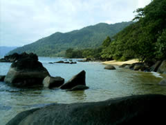 A wonderful hiking through Masoala's pristine rainforest
in Masoala National Park, Madagascar - Ravo.Madagascar web site Madagascar Masoala National Park for Birdwatching passionate people