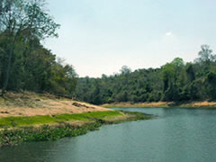 Parc National Ankarafantsika - Madagascar, véritable sanctuaire de la nature