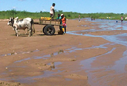 Isahena river about 10 mn walk from Berenty-Betsileo
The river was very shallow - A river for shower, for drinking,
for washing clothes and for cooking, for zebus and pigs too evangelical mission in Berenty-Betsileo, Ankazoabo Atsimo area, south of Madagascar, with the Ankadifotsy FJKM church, webmaster Ravo.Madagascar, Christian Thought