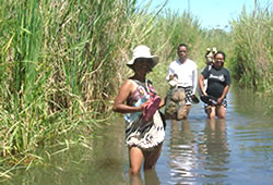 evangelical mission in Berenty-Betsileo, Ankazoabo Atsimo area, south of Madagascar, with the Ankadifotsy FJKM church, webmaster Ravo.Madagascar, Christian Thought