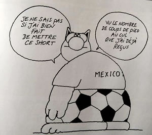 le Foot d après Philippe Geluck le créateur de la BD Le Chat