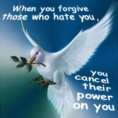 dove, dove and peace, friendship, relationship and friendship quotes and quotations, Christian Thought, webmaster Ravo.Madagascar, Ratsimbazafy Ravo Nomenjanahary