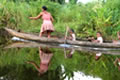 Voyage a Madagascar, riviere Ambanizana Parc National Masoala - Photo Yannick Blanchard 2006 © - un site de Pensee Chretienne, Webmaster Ravo.Madagascar