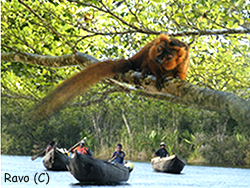 sur le Canal des Pangalanes du cote de Mananjary, Les webmasters de Pensee Chretienne, Ravo.Madagascar et Liantsoa Jenny et Raharimanantsoa Pierrette